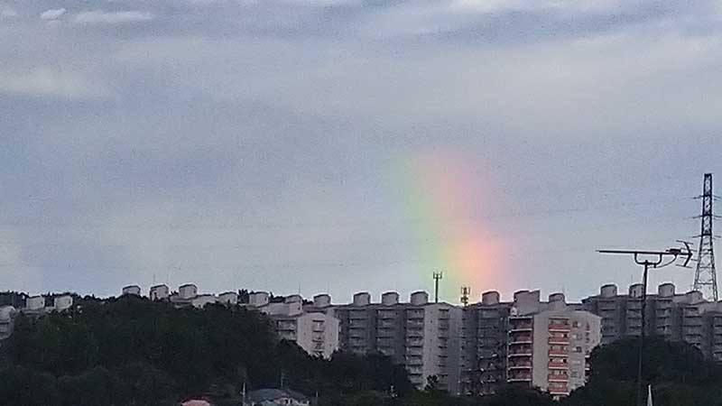 ドッグランで見た虹