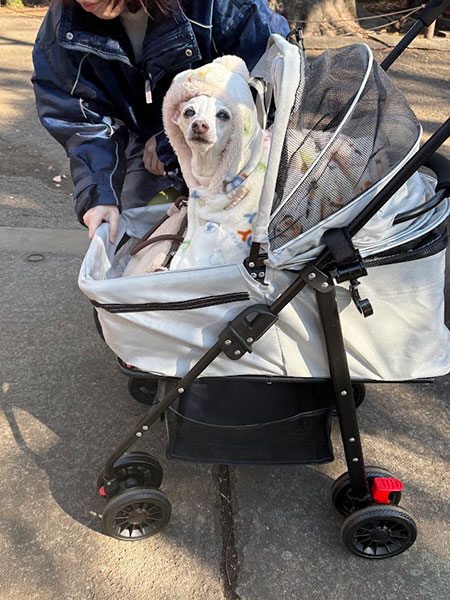 毛布被って完全防寒