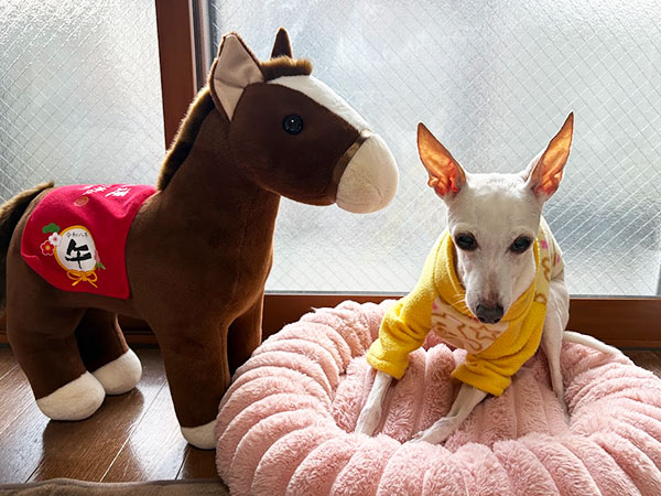 この子誰？ウマ？