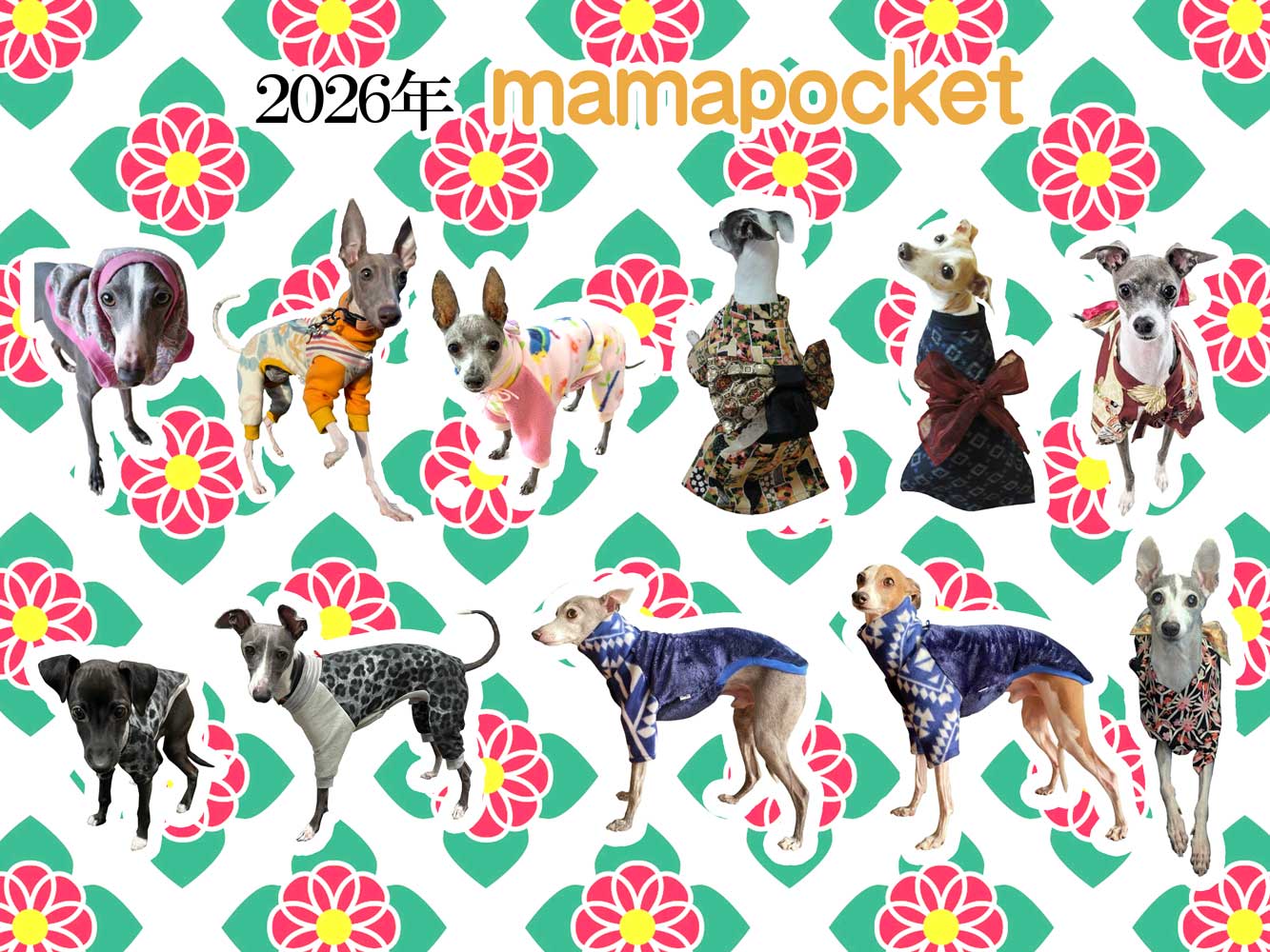 ママポケット お客様モデルさん 2026年お正月 犬の和服 晴れ着 たくさん