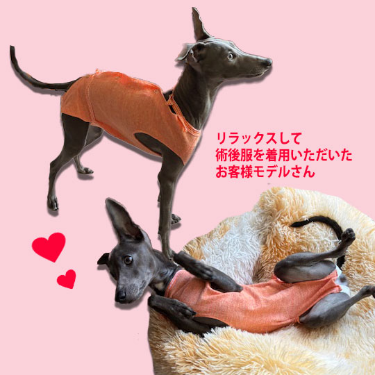 リラックスして着れるイタグレ用術後服