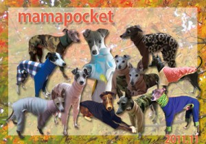 イタグレの服モデルさん