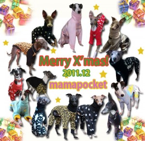 イタグレの服モデルさん