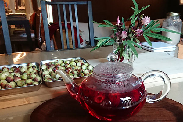 ハイビスカス ハーブティ